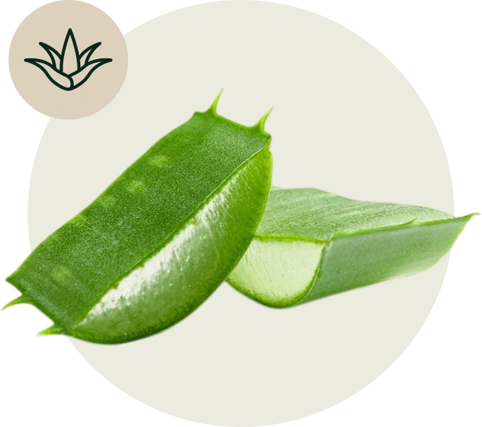 J Martin Soothing Barrier Cream botanical blend