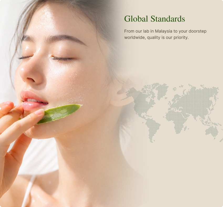 Global Standards